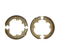 Set di ganasce freno DELPHI LS2132