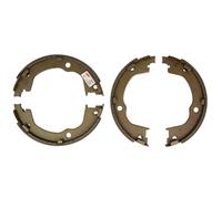 Set di ganasce freno, freno di stazionamento DELPHI LS2106