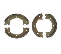 Set di ganasce freno, freno di stazionamento DELPHI LS2115