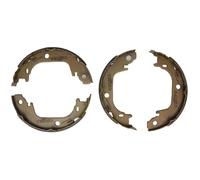 Set di ganasce freno, freno di stazionamento DELPHI LS2122