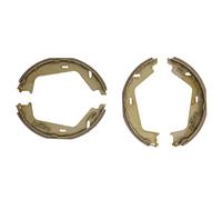 Set di ganasce freno, freno di stazionamento DELPHI LS2144