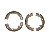 Set di ganasce freno, freno di stazionamento DELPHI LS2170