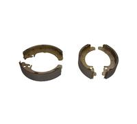 Set di ganasce freno TRW GS8210