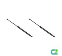 Set Di Gasperdore Per Portellone 552Mm Stabilus / LIFT-O-MAT® Per AUDI Q7