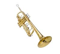 Set Di Guanti Per Tromba Regolabili In Si Bemolle Oro Semplice Tromba Professionale