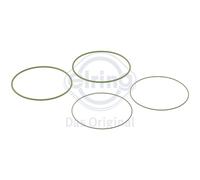 Set di guarnizioni, canna del cilindro ELRING 827.541