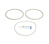 Set di guarnizioni, canna del cilindro KOLBENSCHMIDT 50006624