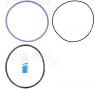 Set di guarnizioni, canna del cilindro REINZ 15-10805-01