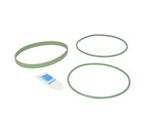 Set di guarnizioni, canna del cilindro REINZ 15-76936-01