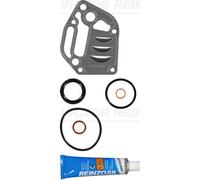 Set di guarnizioni, carter REINZ 08-35053-01