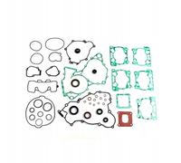 SET DI GUARNIZIONI CON GUARNIZIONI MOTORE KTM SX 125 '16-'22, SX 150