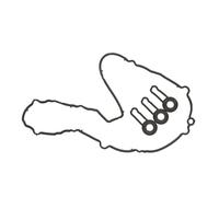 Set di guarnizioni, coperchio della testa del cilindro ELRING 449.650