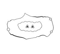 Set di guarnizioni, coperchio della testa del cilindro ELRING 797.490