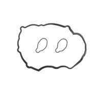 Set di guarnizioni, coperchio della testa del cilindro REINZ 15-53999-01