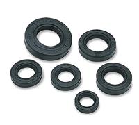 Set Di Guarnizioni Dell'olio Moose Racing 822353MSE