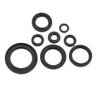 Set Di Guarnizioni Dell'Olio Moose Racing 822996MSE