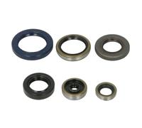 Set di guarnizioni motore ATHENA P400270400088