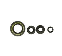 Set di guarnizioni olio motore ATHENA P400210400061