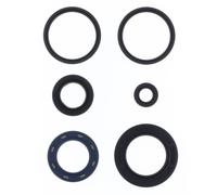 Set di guarnizioni olio motore ATHENA P400210400231