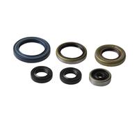 SERIE COMPLETA PARAOLI MOTORE ATHENA KTM XC 85 cc 2008 2009 2010 2011 2012 2013