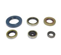 Set di guarnizioni olio motore ATHENA P400270400047