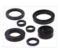 Set di guarnizioni olio motore ATHENA P400485400125