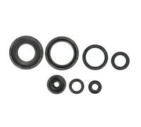 Set di guarnizioni olio motore ATHENA P400485400253