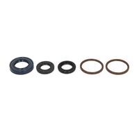Set di guarnizioni olio motore ATHENA P400550400003