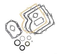 Set di guarnizioni per carburatore per modelli di tosaerba per 494241 e 490525 che supportano il controllo coerente del rapporto aria/carburante