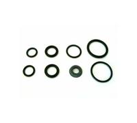 Set di guarnizioni per il rubinetto di compensazione (Articolo ID: 71 e 832)