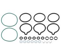 Set Di Guarnizioni Per Pompa Bosch-Type CP1 Alfa