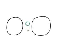 Set di guarnizioni, pulitore centrifugo DT Spare Parts 1.31079