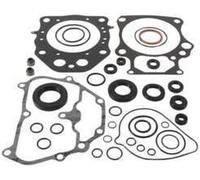 Set Di Guarnizioni QuadBoss QB Con OS 564319 QBS564319