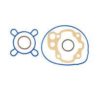 SET DI GUARNIZIONI RMS MINARELLI AM6