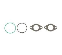Originale ELRING Set Guarnizioni Agr-System 934.860 per Audi Chrysler Dodge Jeep