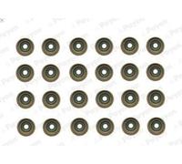 Set di guarnizioni, stelo della valvola PAYEN HR5121 BMW 5 (E39) 3 1998-2