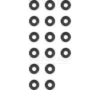 Set di guarnizioni, stelo della valvola REINZ 12-31306-12 per KYRON 2 2005-2014
