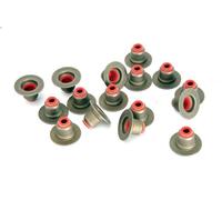 Set di guarnizioni, stelo della valvola REINZ 12-34439-01 per XM (Y4) 2 1994-