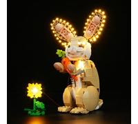 Set di illuminazione per Lego Creator 31162 3 in 1 Cute Bunny, set di illuminazione a LED, compatibile con Lego Cute Bunny 31162 (solo luci, non modelli) (set di luci LED per Lego 31162)