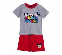 Set di Indumenti Mickey Mouse Grigio
