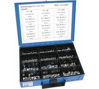 Set di ingrassatori DRESSELHAUS 4499/000/06 8554