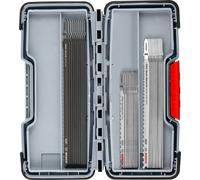 Set Di Lama Per Seghe A Gattuccio Bosch PRO In Legno E Metallo, 100 Mm, 30 Pezzi