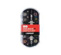 Set Di Lampade Di Ricambio H4 per Auto | Set Di Lampadine H4 Da 30 Pezzi | Lampa