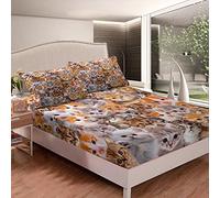 Set di lenzuola per gatti per bambini e ragazze, set di biancheria da letto per ragazzi e donne, grazioso gattino 3D con angoli, morbido gatto con animali, collezione di biancheria da letto matrimoni