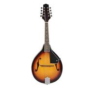 Set Di Mandolino A 8 Corde In Legno Tiglio E Ebano Con Custodia Adatta Per I Principianti Che Si Esercitano Le Fornite Mandolino Tradizionale(Mandolin)