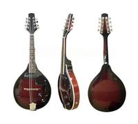 Set Di Mandolino Mandolino Elettrico E Strumento Acustico A Otto Corde Doppio Funzionale Principiante Adulto