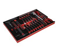 Set Di Martelli / Cacciaviti / E Lime KS Tools In Inserto In Schiuma, 21 Pezzi