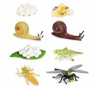 Set di metamorfosi a forma di coccinella e farfalla, 8 pezzi, giocattolo educativo Montessori per l'educazione e la casa, set educativo con 4 fasi (libellula, lumaca)