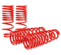 Set Di Molle A Bassa Per Skunk2 Racing 519-05-1550 Compatibile Con Civic 96-00