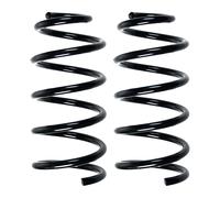 Set Di Molle Del Telaio Posteriori SPIDAN Per LANCIA YPSILON Ø122mm